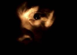 Markus Johannes Reinhardt  •  Photography