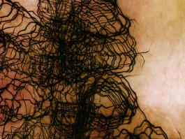 Markus Johannes Reinhardt  •  Photography