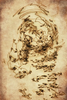 Markus Johannes Reinhardt  •  Photography