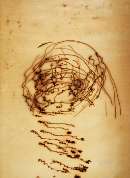 Markus Johannes Reinhardt  •  Photography