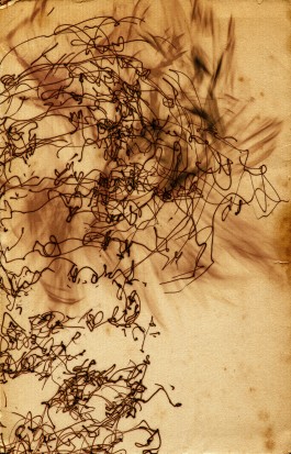 Markus Johannes Reinhardt  •  Photography