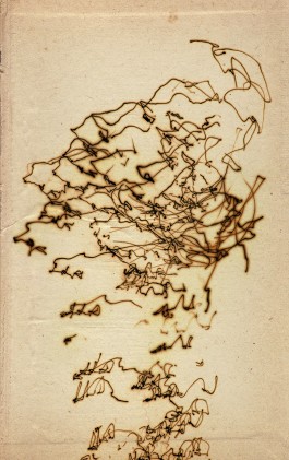 Markus Johannes Reinhardt  •  Photography