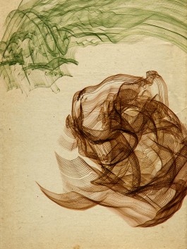 Markus Johannes Reinhardt  •  Photography