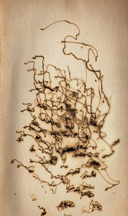 Markus Johannes Reinhardt  •  Photography