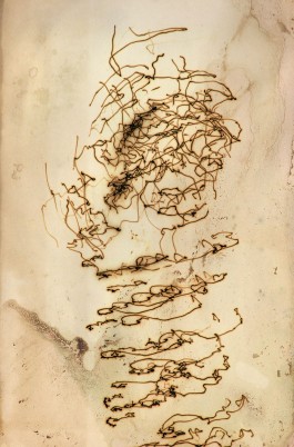 Markus Johannes Reinhardt  •  Photography