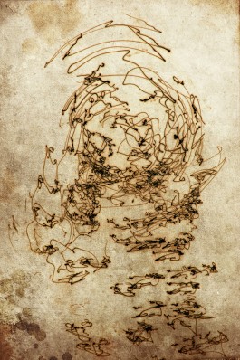 Markus Johannes Reinhardt  •  Photography