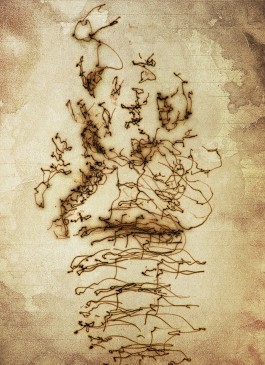 Markus Johannes Reinhardt  •  Photography