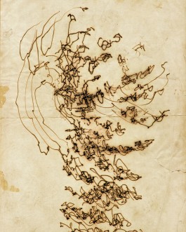 Markus Johannes Reinhardt  •  Photography