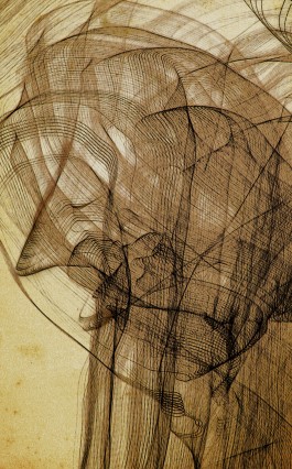 Markus Johannes Reinhardt  •  Photography