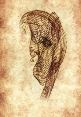 Markus Johannes Reinhardt  •  Photography