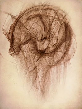 Markus Johannes Reinhardt  •  Photography