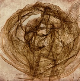 Markus Johannes Reinhardt  •  Photography