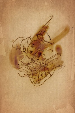 Markus Johannes Reinhardt  •  Photography