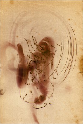 Markus Johannes Reinhardt  •  Photography