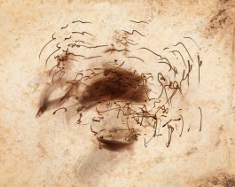 Markus Johannes Reinhardt  •  Photography