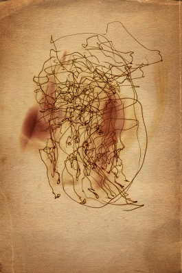 Markus Johannes Reinhardt  •  Photography