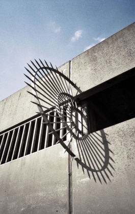 Markus Johannes Reinhardt  •  Photography