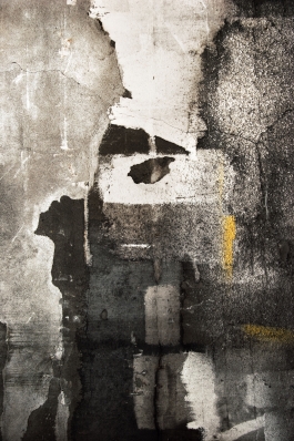 Markus Johannes Reinhardt  •  Photography