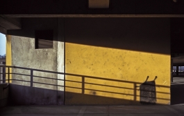 Markus Johannes Reinhardt  •  Photography