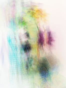 Markus Johannes Reinhardt  •  Photography