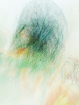 Markus Johannes Reinhardt  •  Photography