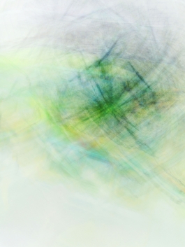 Markus Johannes Reinhardt  •  Photography